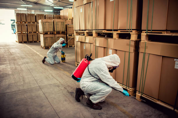 Best Local Pest Control Services  in Margate City, NJ