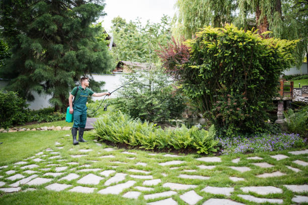 Best Mosquito Control Services  in Margate City, NJ