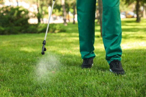 Best Commercial Pest Control Services  in Margate City, NJ